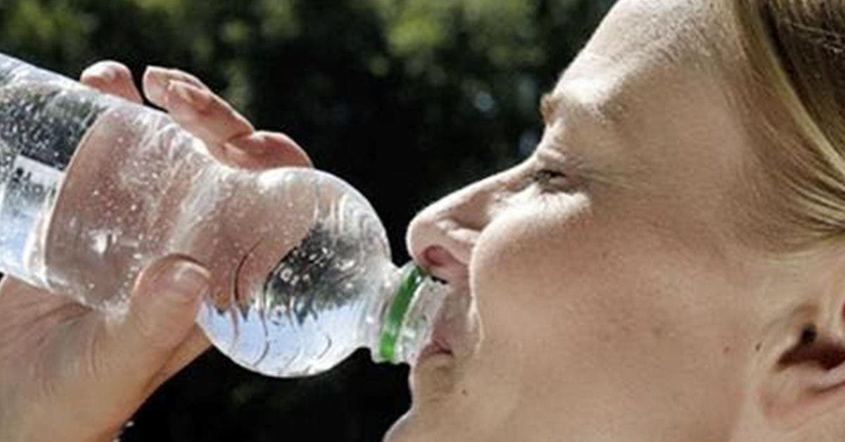 Comment garder votre bouteille d’eau au frais toute la journée sans utiliser le frigo ?