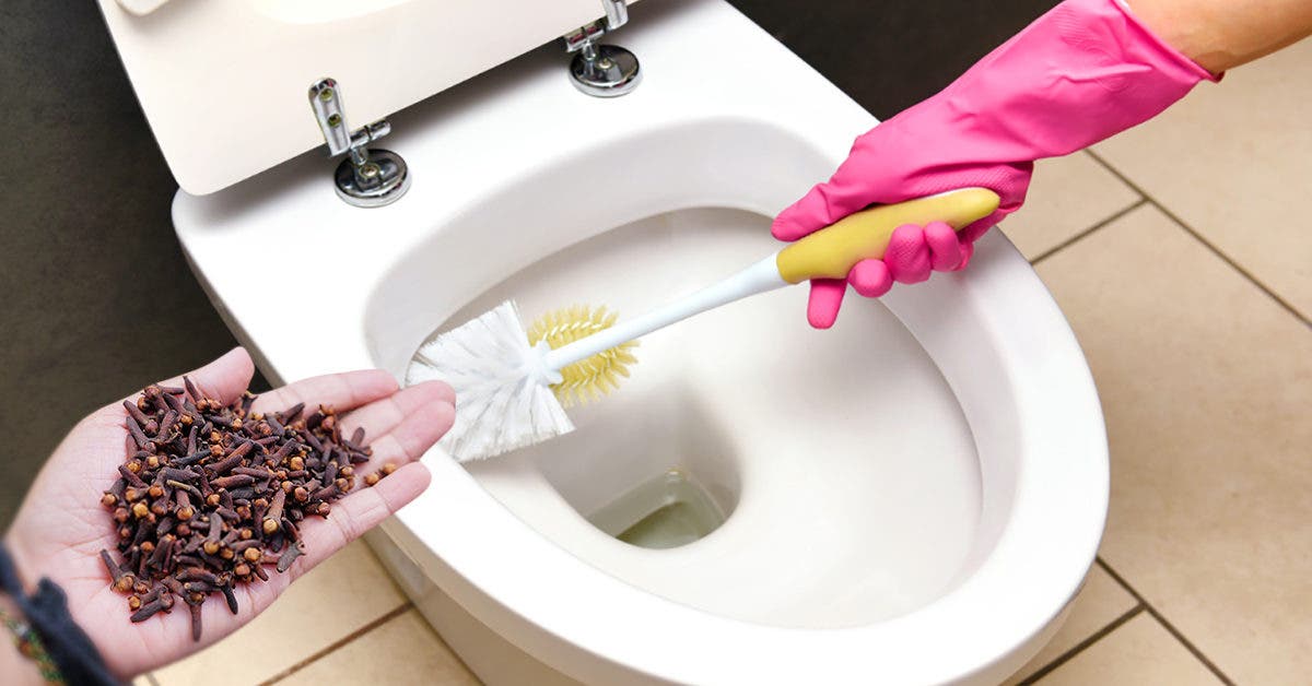 Comment utiliser les clous de girofle pour éliminer l’odeur d’urine dans vos toilettes ?