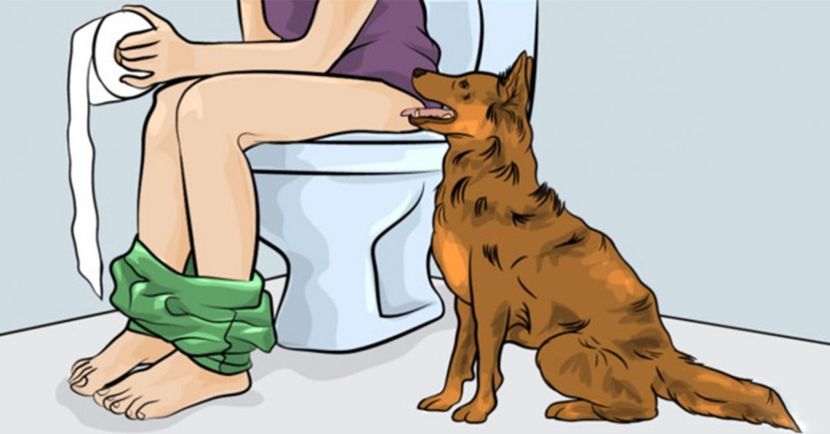 Si votre chien vous suit aux toilettes, il essaye de vous dire quelque chose de spéciale