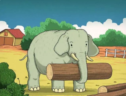 Seule 1 personne sur 20 trouve la bonne réponse : Quel animal se cache près de l’éléphant ?