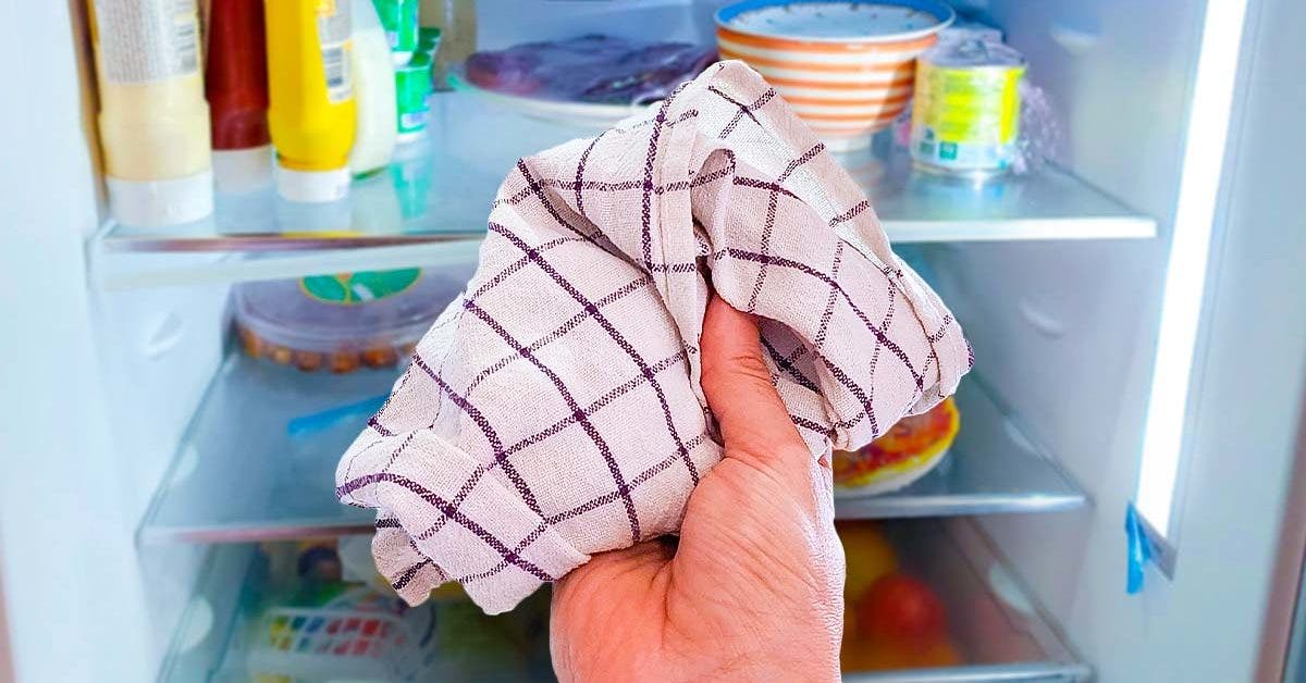 Mettez un torchon dans le réfrigérateur : une astuce brillante pour économiser de l’argent